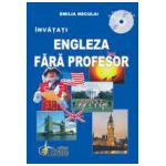 Engleza Fara Profesor