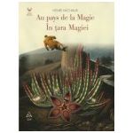 Au pays de la Magie – În ţara Magiei