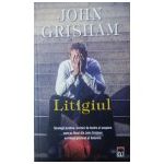 Litigiul