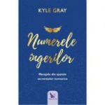 Numerele ingerilor (Angel Numbers) - Kyle Gray
