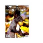 Calendar Wildlife in Romania 12 file 2021