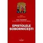 Noul Testament în tâlcuirea Sfinților Părinți. Vol. IX - Epistolele Sobornicești