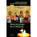Sfintii Mucenici de la Niculitel - Silvan Theodorescu