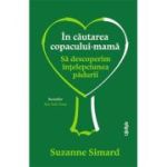În căutarea copacului-mamă