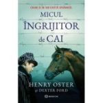 Micul ingrijitor de cai