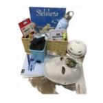 Boo Basket M 02 – coș cadou de Halloween pentru copii cu Stelaluna, termos SEIK și set de pictat dovleac