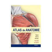 Atlas de anatomie