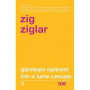Gândeşte optimist într-o lume cenuşie. Ediția a II-a - Speranţă în lupta cu grijile zilnice