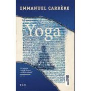 Yoga -  Emmanuel Carrère