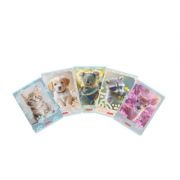 Caiet A5, tip II, 36 file, hartie 80g/mp, Herlitz