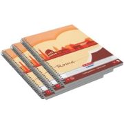 Caiet cu spira A4 70 file, matematica, economic, Herlitz