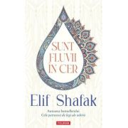 Sunt fluvii in cer - Elif Shafak