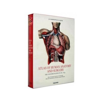 Atlas of Anatomy: The complete colored Plates of 1831-1854 (25th Anniversary Special Ed)