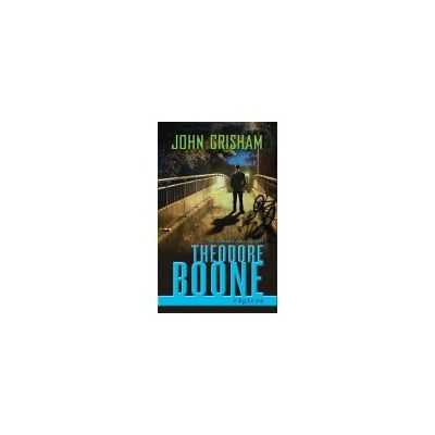 Theodore Boone: Rapirea