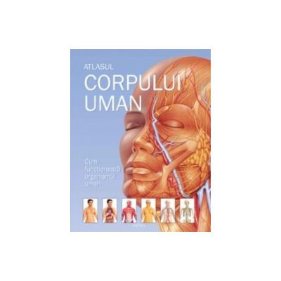 Atlasul corpului uman. Cum functioneaza organismul uman