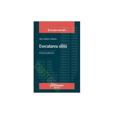 Executarea silita - Practica judiciara