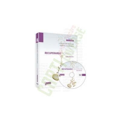 Recuperarea creantelor. Ghid practic