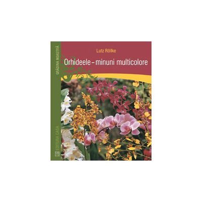Orhideele – minuni multicolore