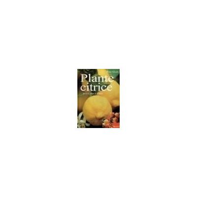 Plante citrice in apartamente, sere si gradini