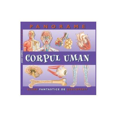 Corpul uman. Panorame