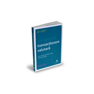Minighid de tranzacționare valutară
