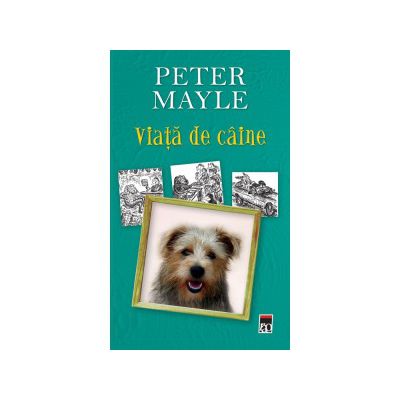 Viata de caine. Editia 2014