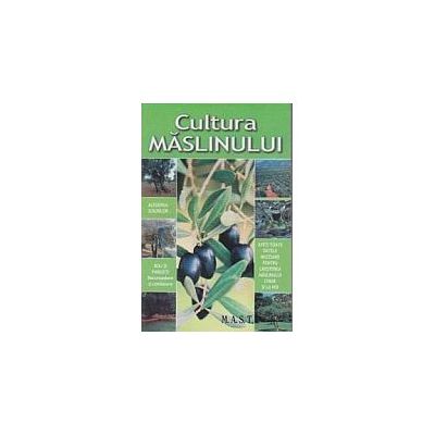 Cultura maslinului