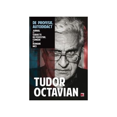 De profesie autodidact. Jurnal cu subiecte de povestiri, comedii si romane mici