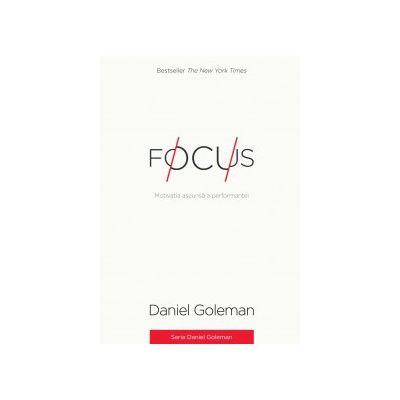 Focus. Motivatia ascunsa a performantei